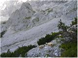 Türlwandhütte - Mitterstein